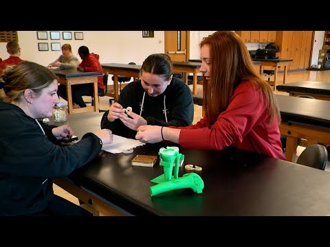 Designing a new anatomical model to help train students