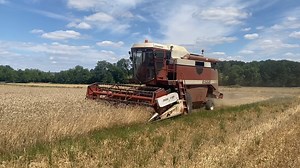 164K views · 5.9K reactions | C'est une belle sortie de grange que...