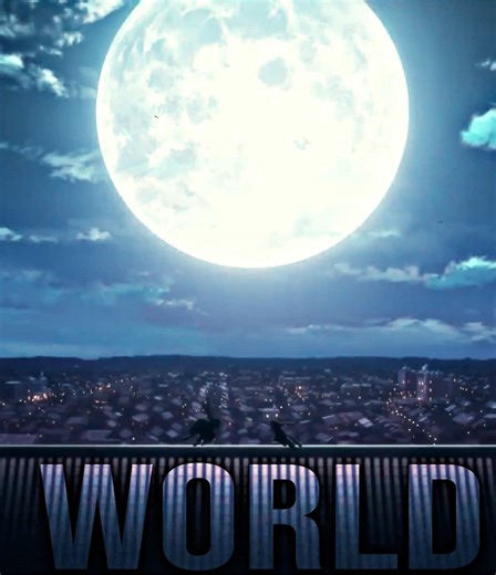 Fate Series: Around the World Anime Edits