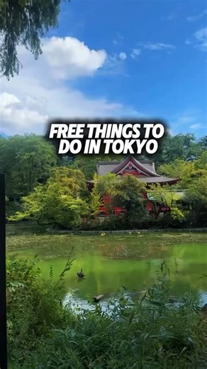 11K views · 66 reactions | ✨ Free Things to Do in Tokyo ✨ Tokyo...