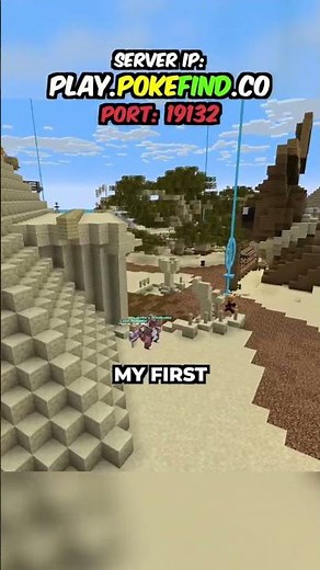 Nobody Warned Me About This Minecraft Server!