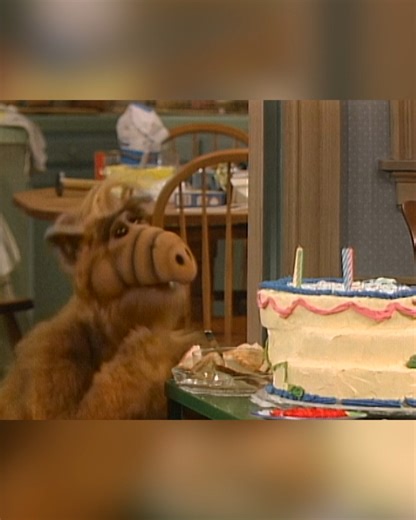 Would you want a cake made by ALF to celebrate your anniversary? #ALF #sitcom #anniversary | Alf