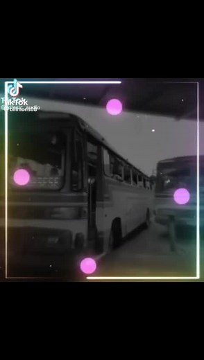 # nasese bus🚌