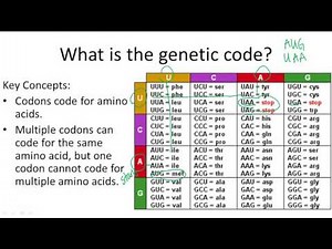 The Genetic Code