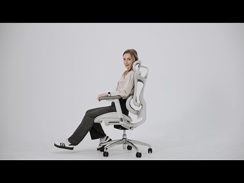 SIHOO Doro- C300 Ergonomic Office Chair | SIHOO