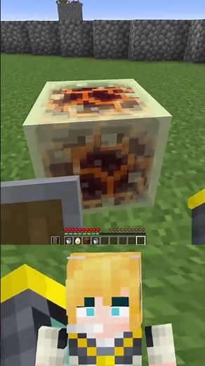SHIELD vs. SULFUR CUBE X MAGMA CUBE on MINECRAFT!