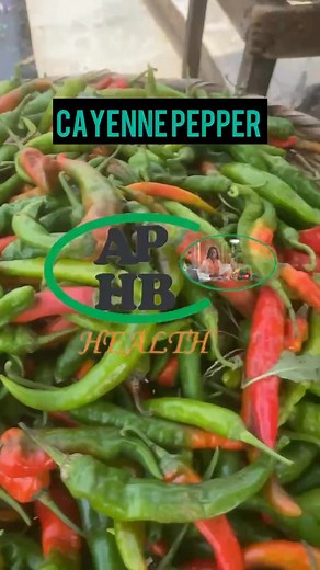 Starting another batch of cayenne pepper production soon | Anumba peace health blog