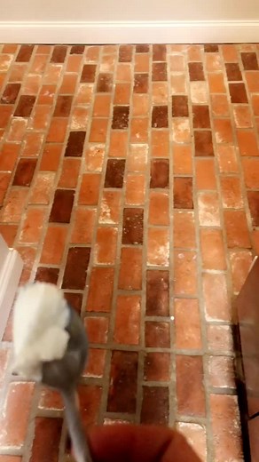 Discover Small's The Pig: A Heartwarming Journey