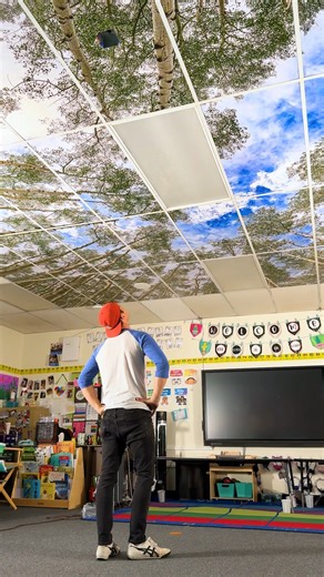 4.7M views · 101K reactions | Had the opportunity to transform my kid's classroom with the help of Nature In the Classroom! Comment if you want these for your kid's classroom! . . . #Classroom #School #DIy | Dude Dad | Facebook