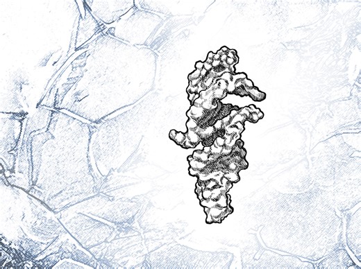 Short strands of RNA nearly self-replicate, recreating a possible step in the dawn of life