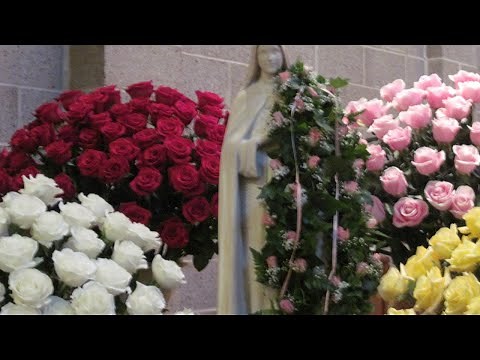 The Blessing of Roses 2023