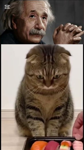 😀😀😀😀😀😀😀😀😀😀