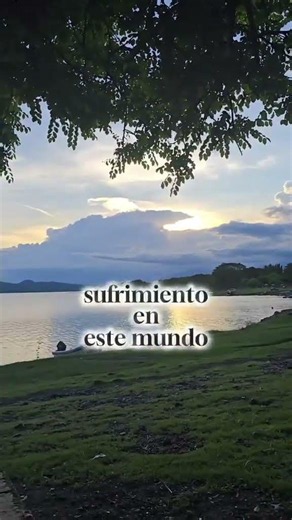 Recibe un #milagro de Jesús #dios #amor #profetico #biblia #vida #sanidad #jesus #motivacion