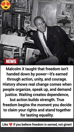 What Malcolm X Taught About Freedom (Most People Ignore This) #shorts #viral