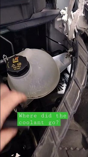 🤷‍♂️Where Did It Go? 🤷‍♂️