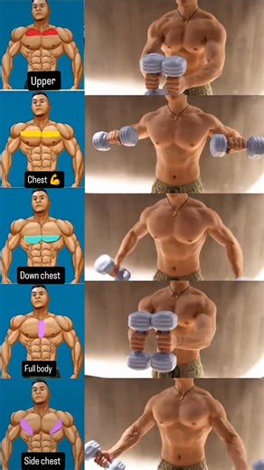 Genesis go on Instagram: "Gym workout 💪🏋️ #trendingreels #reels #genesisgo #exercise #weightlossjourney #yogainspiration #yoga #youtube #travelphotography #fcebook"