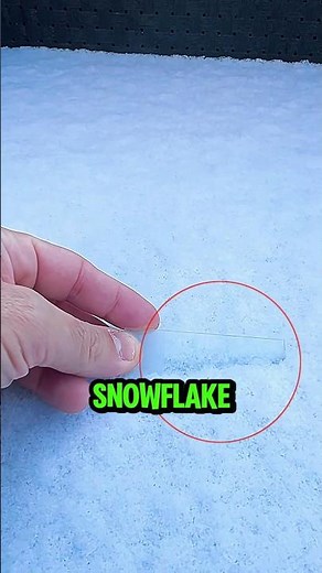 He Put a Snowflake Under a Microscope 😳❄️