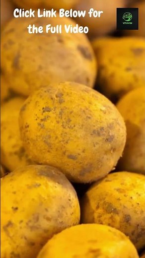 Storage Harvesting Potatoes The Perfect Time and Technique | Tips for Best Results for Maximum Yield