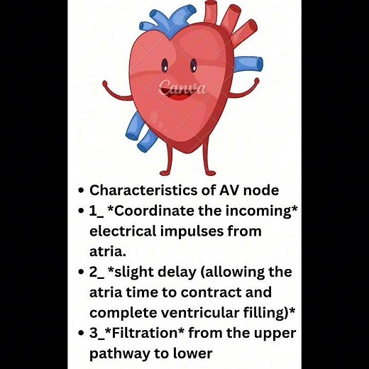 (AV node) Second pacemaker of the heart .
