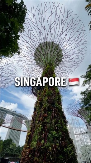 Amazing Gardens by the Bay #singapore #nature #garden