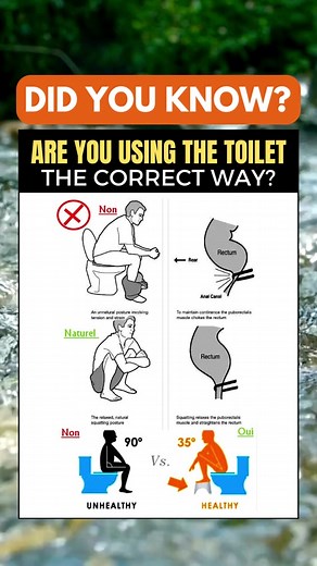 Correct way of using the toilet #didyouknow #toilet #tips #lifehacks