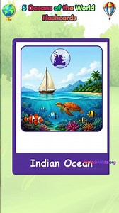Learn the 5 Oceans of the World with fun flashcards for kids!