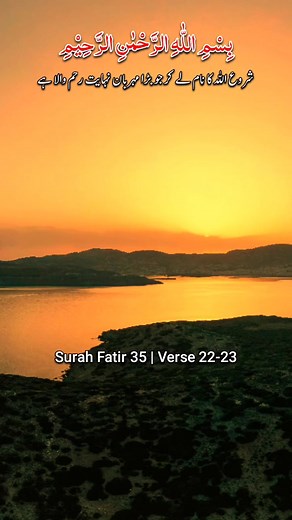 3.7M views · 222K reactions | The Ancient 4,500-Year-Old Tunic at the Egyptian Museum. . . . . . . . #AncientDiscoveries #AlienMummy #OutofthisWorld #historyfacts #history #community #heritage #archaeoloynews #archaeologist #archaeology #archaeological #archaeologylife #romanempire #roman #RomanBritain #romanbritain #historylovers #historyinthemaking #historymatters #history #historyfactscl #Fall2024Trends | Shukr Heartbeat | Facebook