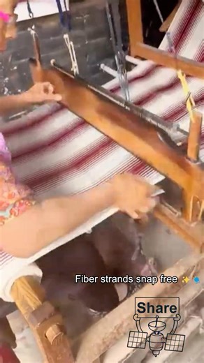 Sisal Decortication Extracts Premium Fiber