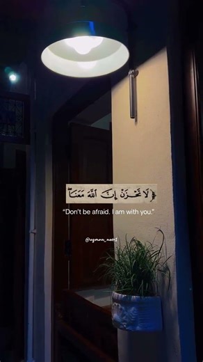 🪔 #islamicquotes #islamicreminder #allah #quran #islam