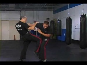 Mastering Krav Maga DVD Select Clips by David Kahn