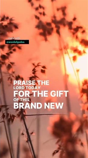 God created everything—He is the source of all life and order. 🙏