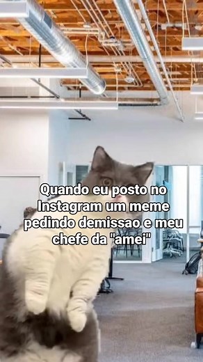 5.9K views · 102 reactions | Memes&memes on Reels | Facebook