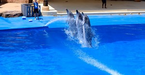 Video by Magda Ehlers on Pexels