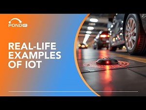 IoT in Real-Life | Everyday Examples of IoT Technology