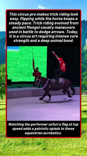 The Most Intense Horseback Gymnastics You Have Ever Seen
