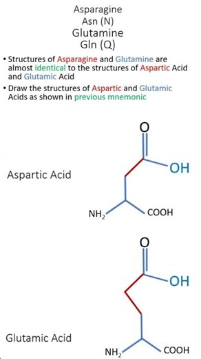 Asparagine and Glutamine | How to Instantly Memorize Amino Acids Structures #aminoacids #mnemonics