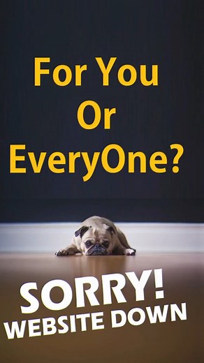 5.9K views · 84 reactions | Down For Everyone Or Just Me is a simple...