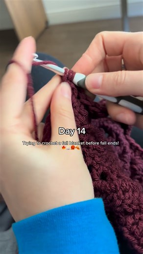 Day 14 - Trying to crochet my fall blanket before the fall season is over! #crochet | Emily Grace