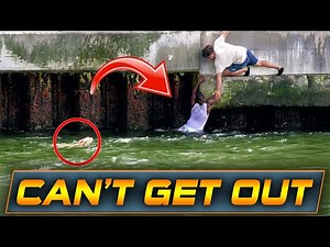 WARNING: DOG FALLS INTO INLET AND MAN JUMPS IN AFTER HIM !! | HAULOVER BOATS | WAVY BOATS
