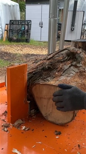 24K views · 326 reactions | Timber Ox Summit: Can It Split The Gnarly Wood? Challenge! #logsplitter #timberox #woodsplitting #woodworking #outdoors #tools | Back 40 Firewood | Facebook