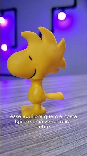 WOODSTOCK PEANUTS SNOOPY #peanuts #funkopop #viral #snoopy #charliebrown #fyp #funko