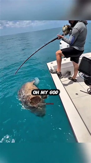 pro fisherman catches massive fish 😳
