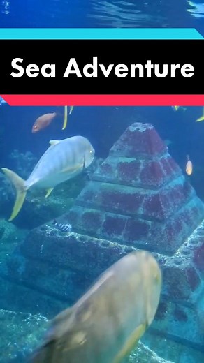 Underwater Sea Adventure at Legoland Windsor