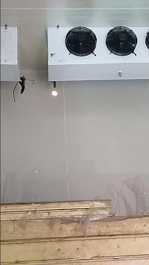 New Cold Room Installation | Full Setup for Commercial Cooling ❄️ #ytshorts #ColdRoom #Installation