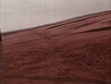 Exploring California's San Andreas Fault: Geology & Muscle Rock