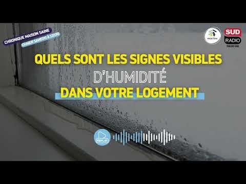 Comment repérer les signes d’humidité dans votre logement