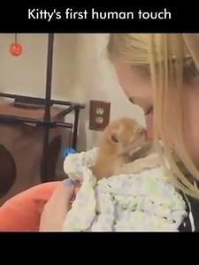 21K views · 359 reactions | Infinite Kisses for the little one!  LIKE Animal Lovers Club | Animal Lovers Club | Facebook