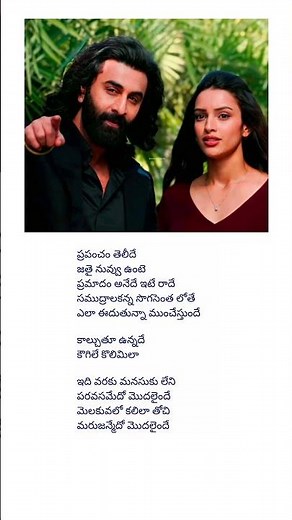 Evarevaro song | Animal movie#trending #telugulyrics #telugusongs