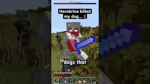The day Herobrine killed my dog—and what happened next