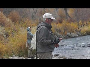 How to Fly Fish Blue Winged Olive Dry Flies Fall 2018